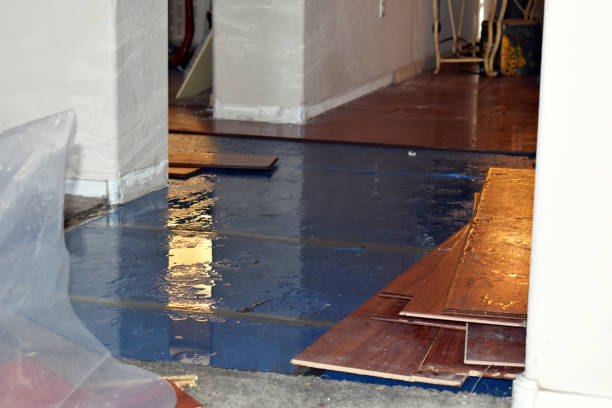 Professional Water Removal technician working in Malone, TX